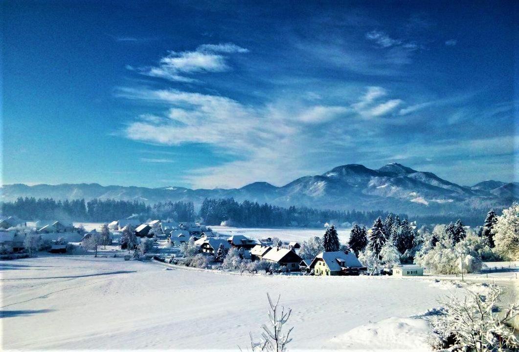 Apartment Rozika Slovenj Gradec Esterno foto