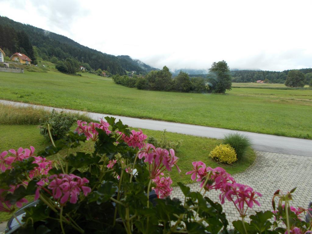 Apartment Rozika Slovenj Gradec Esterno foto