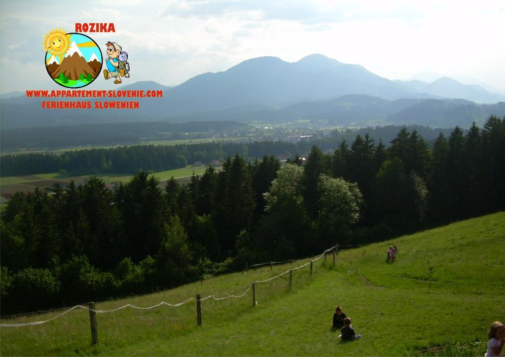Apartment Rozika Slovenj Gradec Esterno foto